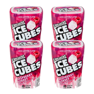 ICE CUBES BOTTLE RASP SORBET 4-40CT