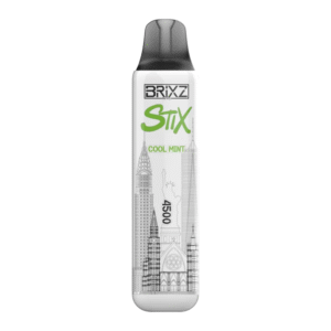 BRIXZ NYC STIX DISPOSABLE 4500PF COOL MINT 5% -BOX OF 10