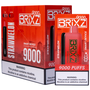 BRIXZ NYC DISPOSABLE 9000PF STRAWMELON -BOX OF 5