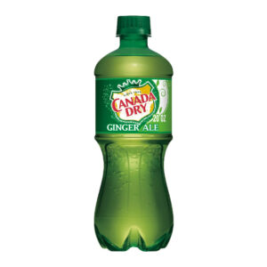 CD 24/20OZ GINGER ALE